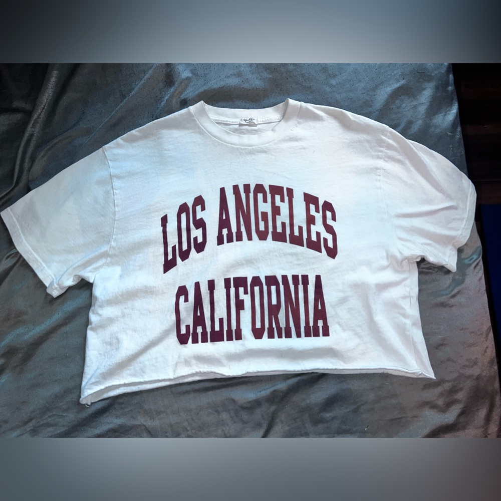 Pacsun Cropped t shirt